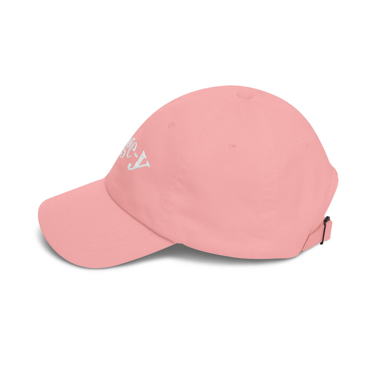 Judge-y Embroidered Cap